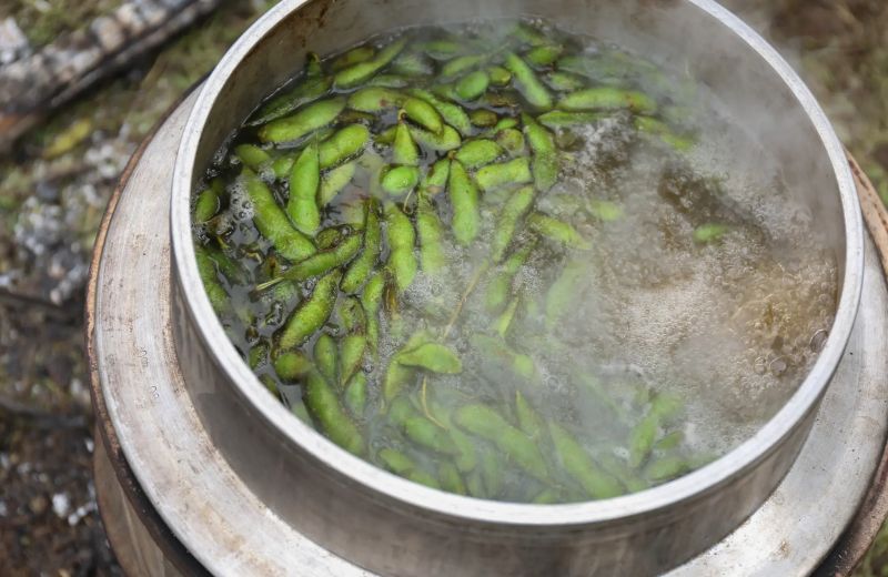 枝豆窯茹で